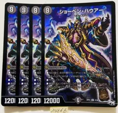 ショーペンハウアー　4枚