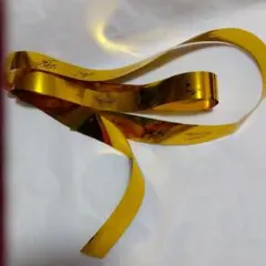 【新▪匿名】EXILE　THE REASON 福岡　金テープ