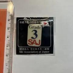 2025年最新】スキー バッジ 級の人気アイテム - メルカリ