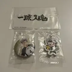 ハイキュー　くら寿司　木兎光太郎