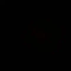 Bluetmoon♡ 様専用ページ