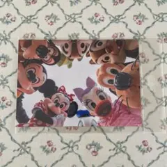 値下げ！　ディズニー　イマジニングザマジック　写真
