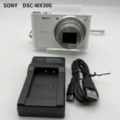 2026年最新】dsc-wx30の人気アイテム - メルカリ