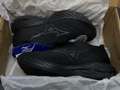 ミズノ　WAVE RIDER 28 SW スーパーワイド 25cm us7