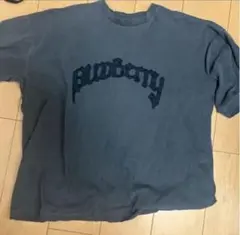 Alfred Alex ロゴ刺繍 Tシャツ ネイビー