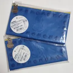 Item thumbnail for item 3fcfc29f-145d-4c21-949a-91f789618ca8