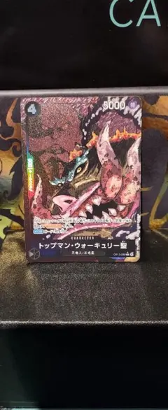 トップマン・ウォーキュリー聖　パラレル