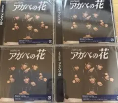 【未開封セット】アガベの花　MATSURI CD 4枚セット