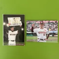 プロ野球 選手カードセット 2024年 カルビー
