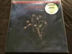 THE BIRTHDAY ライブ会場限定LPレコード「NOMAD」 - メルカリ