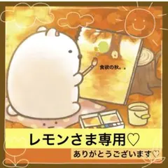 レモン様 リクエスト 2点 まとめ商品