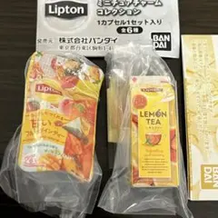 新品 食品ガチャ リプトンミニチュアチャーム2点セット 最終値下げ ラスト1点