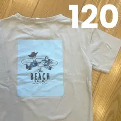 Item thumbnail for item 12aa10d0-448b-4898-856a-612e5b0e2bb6