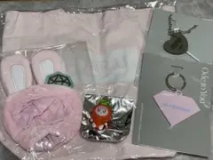 seventeen セブチ 公式グッズ5点セット