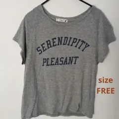 earth music&ecology グレー Tシャツ