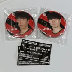 バレーボール男子日本代表　カプセル缶バッジコレクション　2点