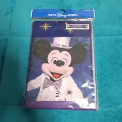 未開封✨東京ディズニーリゾート ワンマンズドリームⅡ　タオル