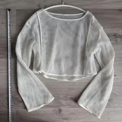 ショート丈 メッシュトップス