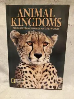 Item thumbnail for item 236da9e0-dde1-400f-bafa-f20dc0c53c5d