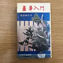 Item thumbnail for item 769d64f8-f1be-4fea-af3e-a4b7671a4907