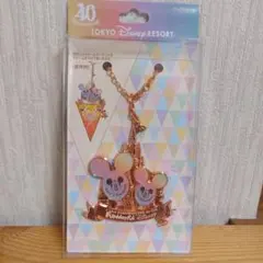 ディズニーリゾート　40周年　バッグチャーム