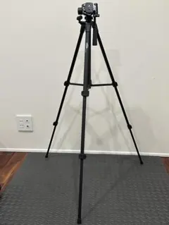 Item thumbnail for item f8641563-13ab-4ac4-a7f8-496a11343a4a