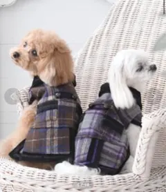 【タグ付き定価以下】ANNA SUI 犬用コート