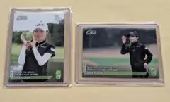 Item thumbnail for item a94463f4-1c75-4181-9b81-119cbd640460