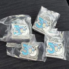 ポケモン 30周年 メタルチャーム カメックス めじるしアクセサリー