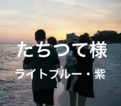 2個 switch スイッチ ジョイコン スティックカバー 紫 スイッチライト