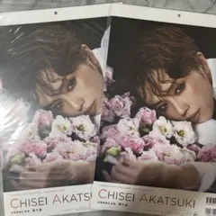 Item thumbnail for item 72da33cd-5e49-4a5a-80c5-e521ca975a7e