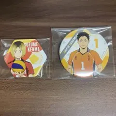 ハイキュー 缶バッジ ステッカー