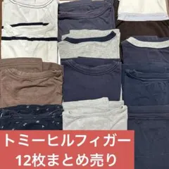 トミーヒルフィガー Tシャツ 12枚セット　メンズ　Lサイズ等