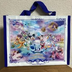 TDS 15周年 バッグ