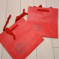 SHISEIDO 紙袋 ショッピングバッグ 2枚セット
