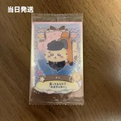 ちいかわ ウエハース２　カード　No.17　運転　ラッコ