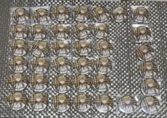 センラ　缶バッジ38点