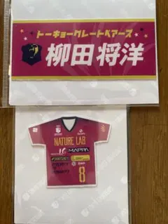 柳田将洋 ベアガチャ 2024-25 スーツver. エターナルステッカー 2026年最新】柳田将洋 ステッカーの人気アイテム - メルカリ
