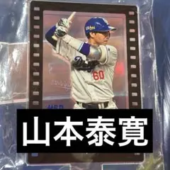 中日ドラゴンズ 山本泰寛 ミニアクリルスタンド ドラゴンズガチャ