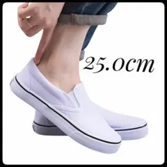 Item thumbnail for item 8a3a0960-6842-4d6b-8532-26cfdec09b0d