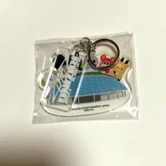 RIIZE アプグレ特典 アクキー