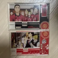 ハイキュー　メモリアルアクスタ　音駒高校