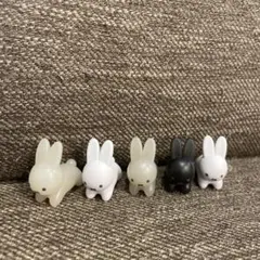 ミッフィー　テトラフィビッツ　5個セット　うさぎ