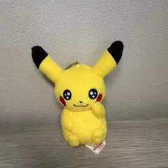 ポケモン ピカチュウ ぬいぐるみ ムンクのさけび プロモカードセット