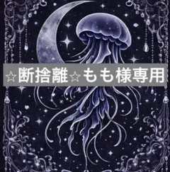 ⭐︎断捨離⭐︎もも様 リクエスト 2点 まとめ商品