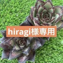 hiragi様 リクエスト 3点 まとめ商品