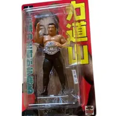 FMW ハヤブサ プロレス フィギュア 新品開封品 - メルカリ