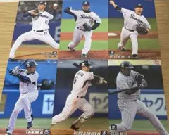 東京ヤクルトスワローズ　トレカまとめ売り