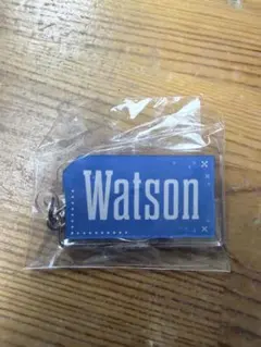 2026年最新】Watson キーホルダーの人気アイテム - メルカリ
