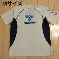 Item thumbnail for item f3442b3b-f57c-4720-a6b8-8a166147d656